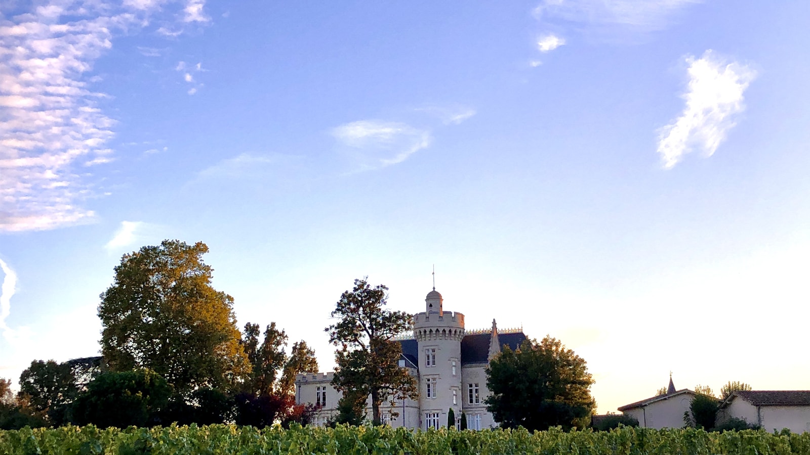 Château viticole et vignobles du Médoc, route des grands crus classés en chauffeur privé VTC depuis Bordeaux