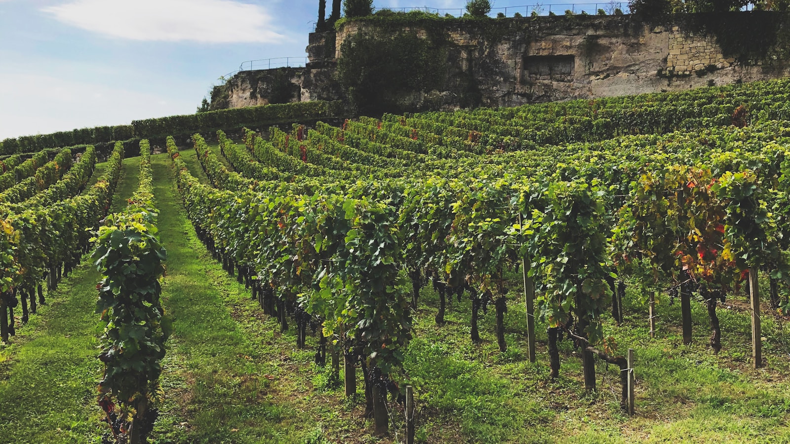 Vignobles de Saint-Émilion classés à l'UNESCO, wine tour en chauffeur privé VTC depuis Bordeaux